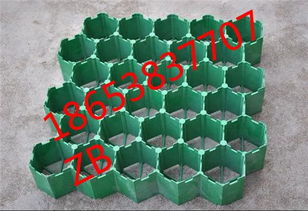 臨沂植草格 塑料植草格批發(fā)與建筑建材應(yīng)用特點(diǎn)