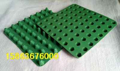 湖北十堰樓頂綠化塑料排水板市場(chǎng)迎來(lái)新機(jī)遇，建筑建材行業(yè)綠色轉(zhuǎn)型提速